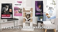 Kedi Köpek Mamasından Tasmaya Evcil Hayvan Ürünlerinde Müthiş Fırsatlar