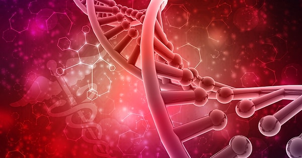 Hormonların nasıl bir etkisi var? Görseli
