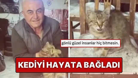 Trafik Kazası Sandı, Tümör Çıktı: Manisalı Esnafın Duyarlılığı Kediyi Hayata Bağladı