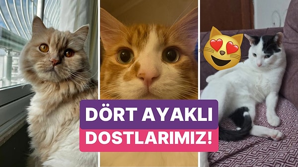 Kapak Görseli