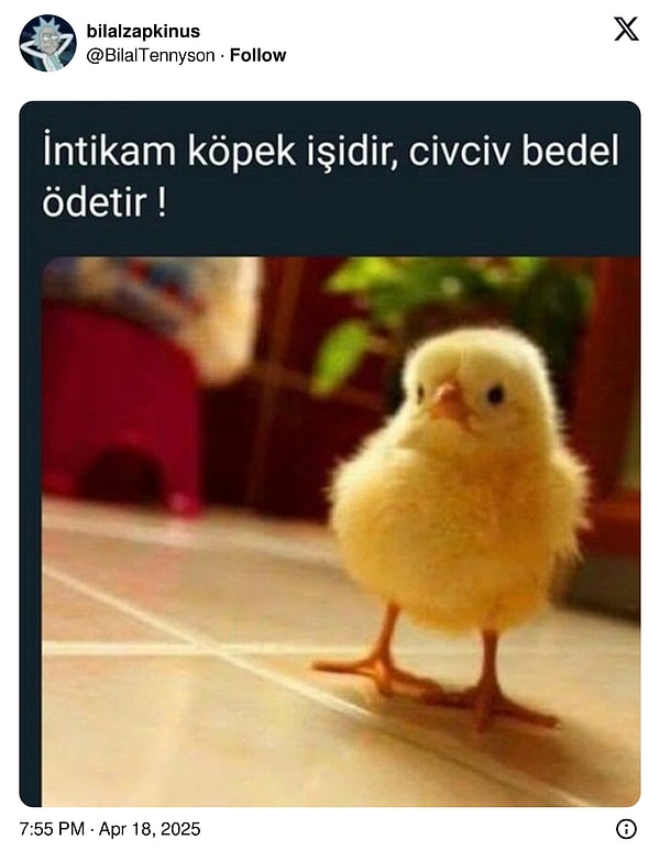 👇