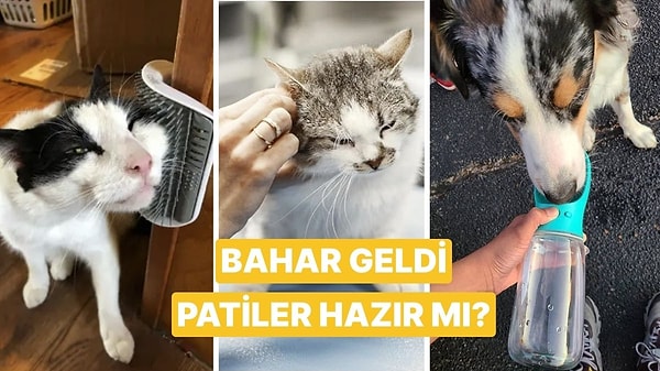 Kapak Görseli
