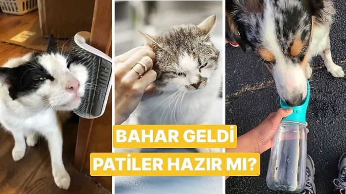 İlkbaharda Evcil Hayvan Sahiplerinin Faydalı Bulacağı Ürün Önerileri