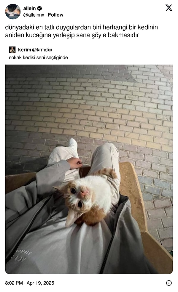 Yanından geçerken şöyle bir bakıp muhatap olmadan geçmelerinin kırıcılığı...