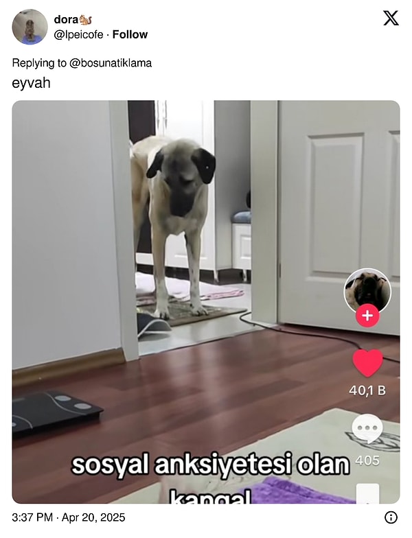 👇