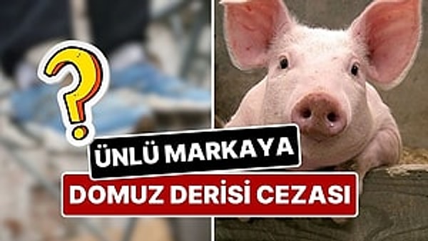 New Balance ayakkabı markasına, bazı modellerinde kullandığı 'domuz derisi'ne dair bilgilendirmede bulunmadığı gerekçesiyle ceza kesildi.