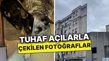 Tuhaf Perspektifle Çekilen Fotoğrafları Paylaşarak Kafamızı Allak Bullak Eden Kullanıcılar