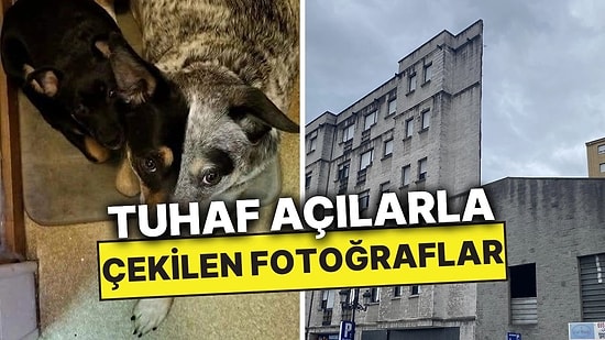 Tuhaf Perspektifle Çekilen Fotoğrafları Paylaşarak Kafamızı Allak Bullak Eden Kullanıcılar