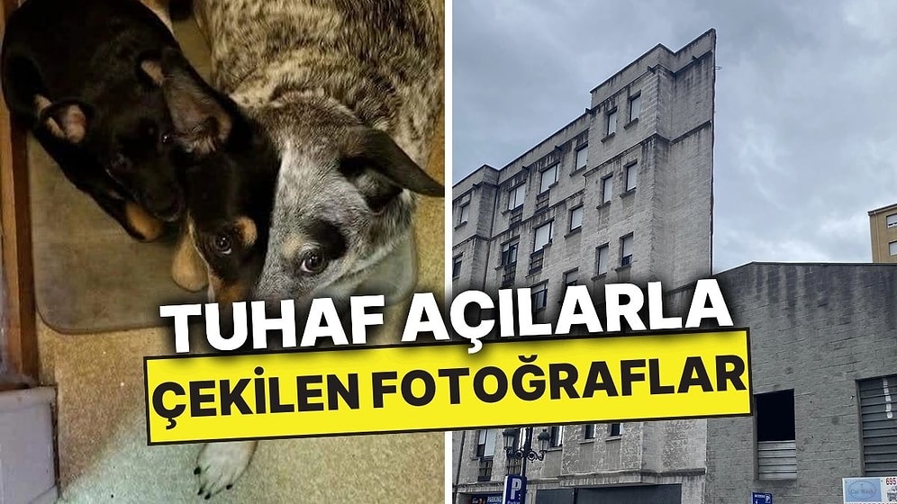 Tuhaf Perspektifle Çekilen Fotoğrafları Paylaşarak Kafamızı Allak Bullak Eden Kullanıcılar