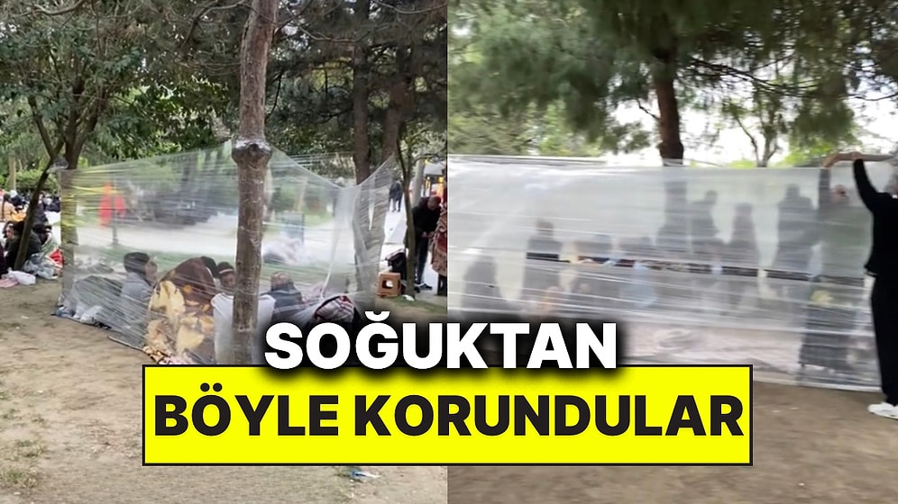 İstanbullular Parklardaki Ağaçları Streçleyerek Soğuktan Korunmaya Çalıştı