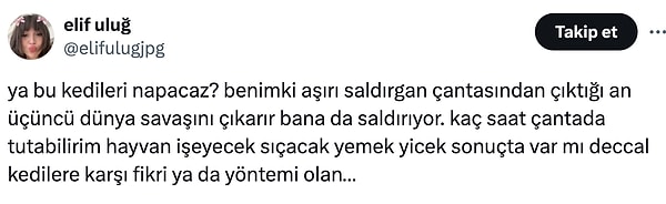 Fenomen Elif Uluğ da kedisinden şikayetçiydi.