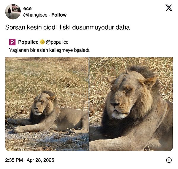 👇