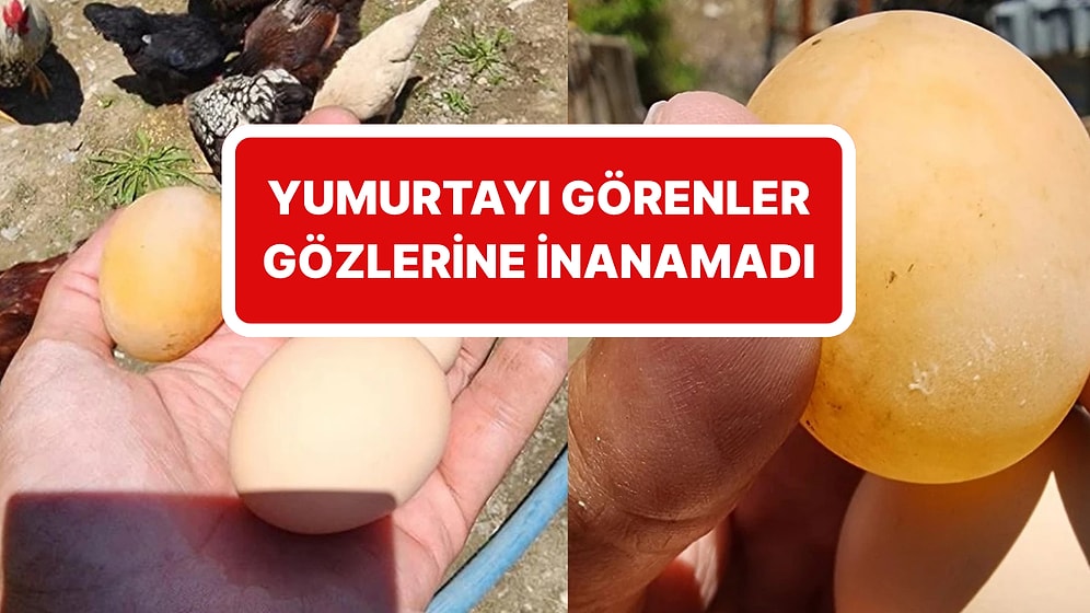 Böylesi Ne Görüldü Ne de Duyuldu! Bir Tavuk Kabuksuz Yumurta Yumurtladı: ''Yumurtayı İlk Kez Gördüm''