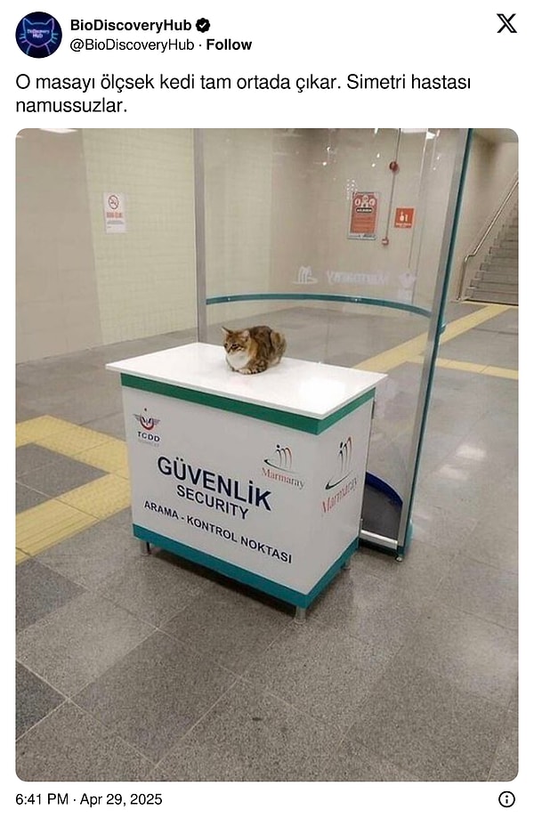 👇