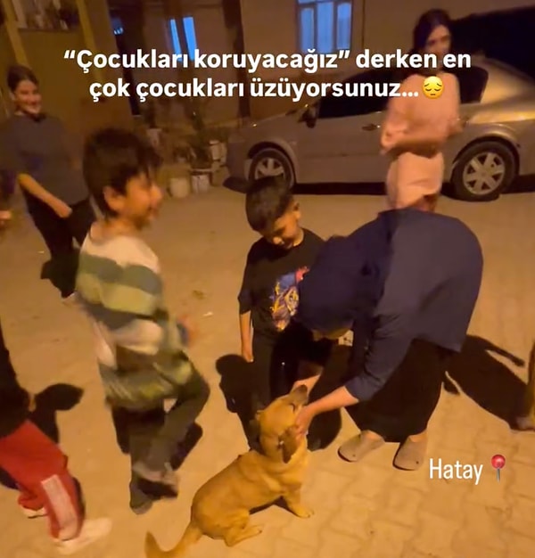 Pati gibi dostumuz nice mahallelerinden ayrılarak barınaklara götürülüyor, ölüme terk ediliyor.