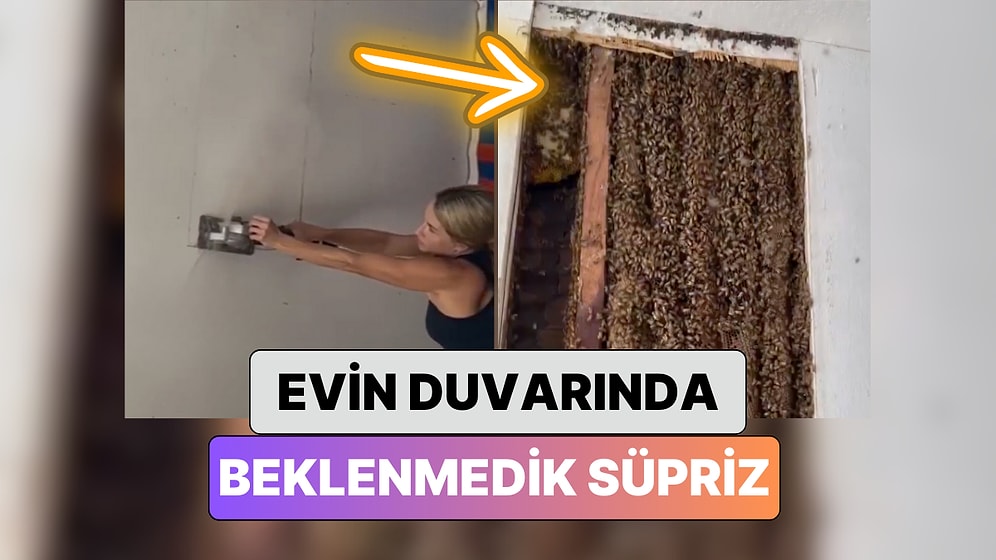 Evlerinin Duvarından Sesler Duyan Çift Duvarı Kırınca Kabus Gibi Bir Manzarayla Karşılaştı