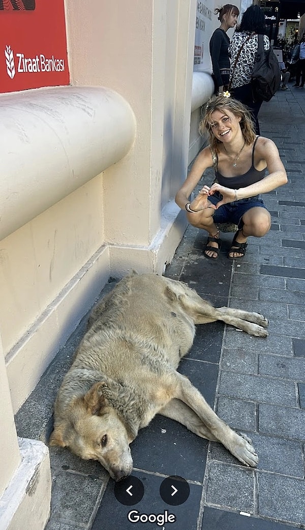 After Istanbul's stray cats went viral around the world, Turkey's stray dogs also deserved this recognition.