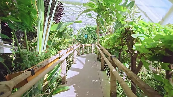 9. Tropical Butterfly Garden that takes you from Konya to tropical regions...