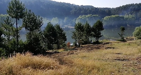 2. Baraklı Pond camping area: A place to witness every shade of green...