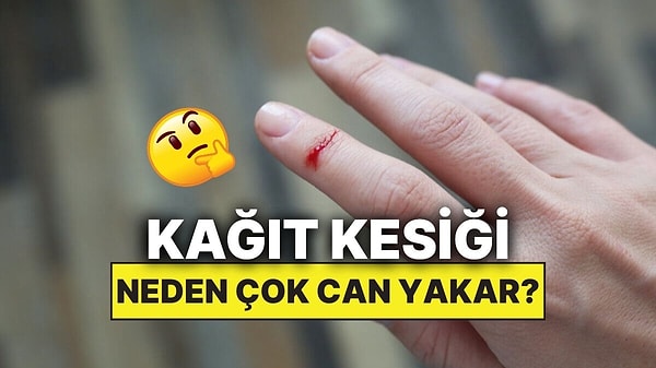14. Kağıt Kesiği Neden Bu Kadar Çok Canımızı Acıtır?