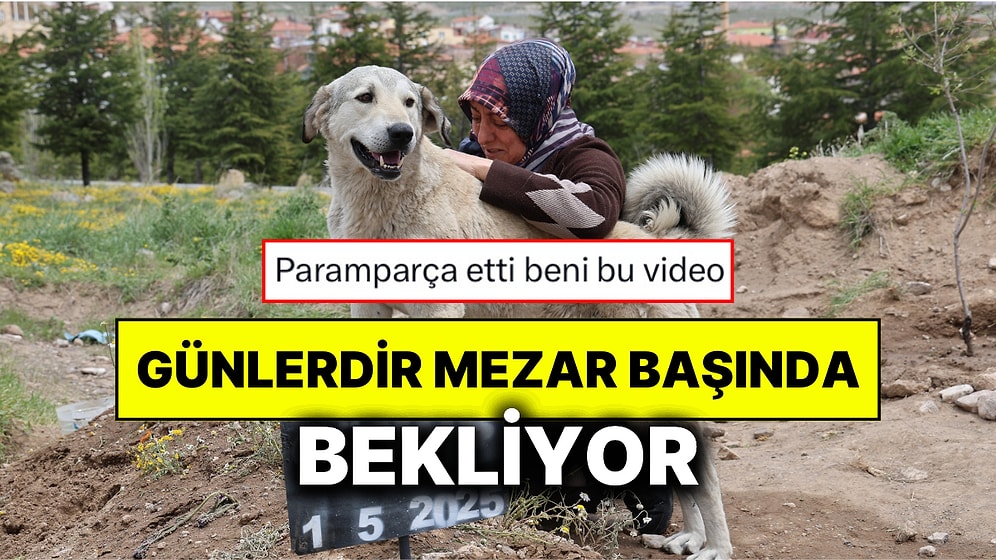 Sahibi Vefat Eden Garip Adlı Köpek Günlerdir Mezarının Başından Ayrılmıyor