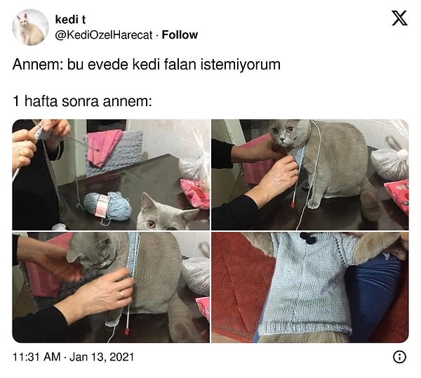 👇