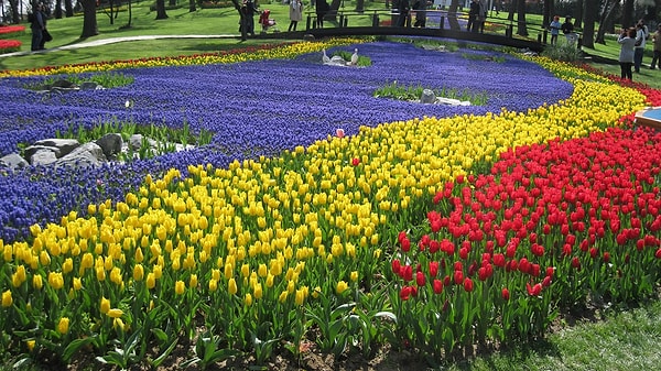 7. Emirgan Grove - Sarıyer (Tulips and History Intertwined)