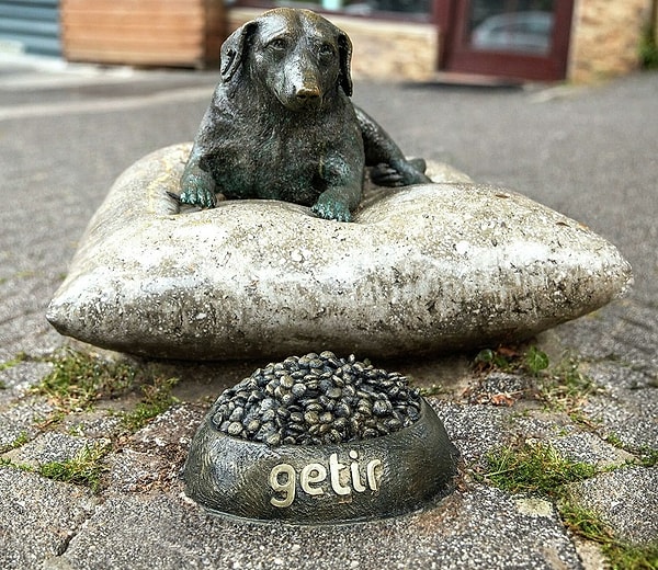 Tarçın: Moda's Loyal Dog