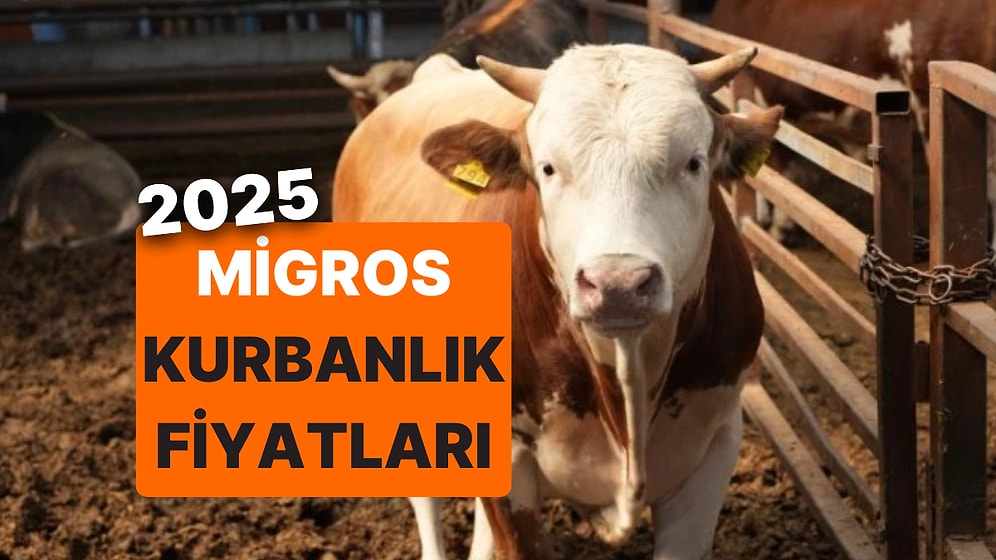 Migros Kurbanlık Fiyatları Ne Kadar? 2025 Migros Büyükbaş, Küçükbaş ve Bağış Kurbanı Fiyatları