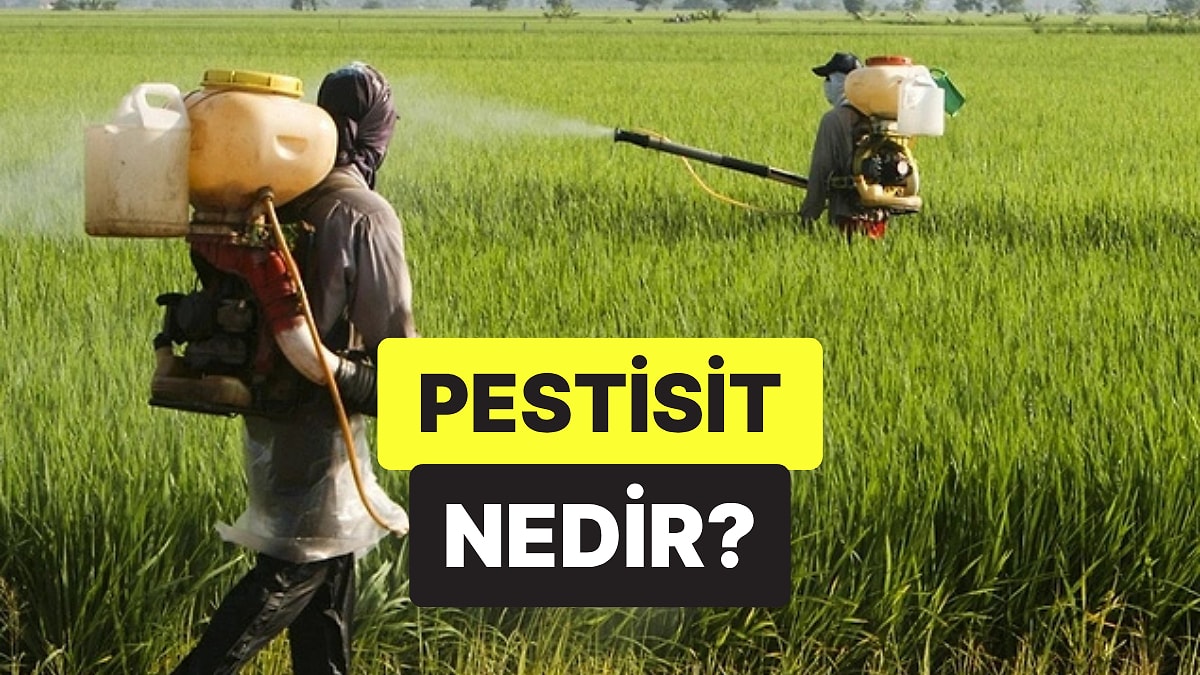 Pestisit Nedir, Zararlı mı? Tarımda Kullanılan Pestisitler Hakkında Bilmeniz Gerekenler