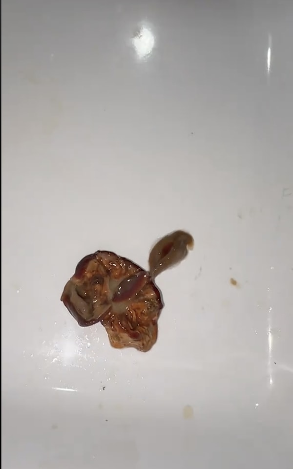 Ne olduğunu anlayamadı! Görseli