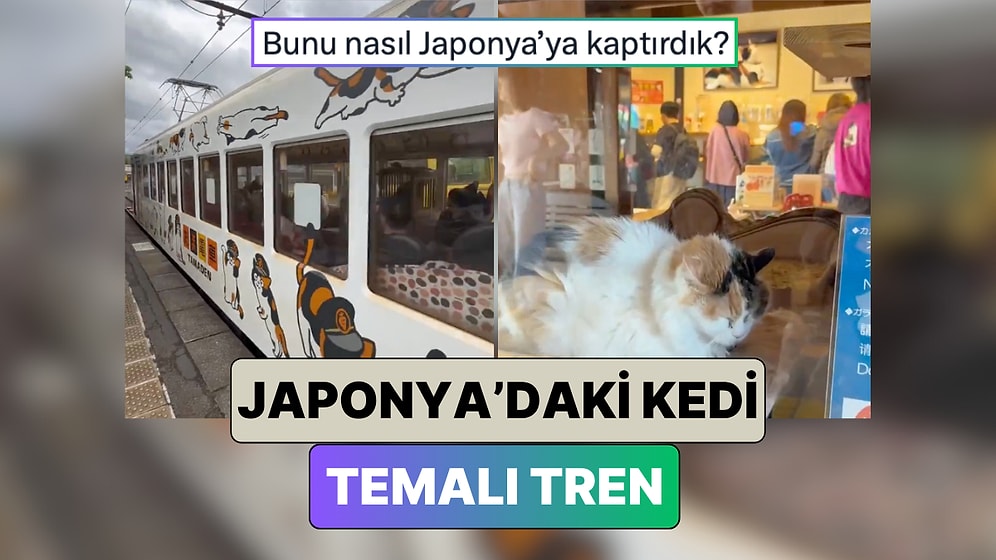 Nasıl Bizim Aklımıza Gelmedi?: Japonya'da Kedi Temalı Tren Yapıldı