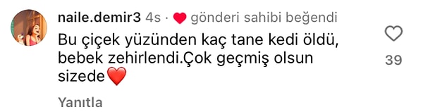 👇