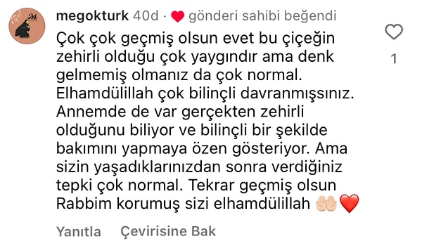 👇