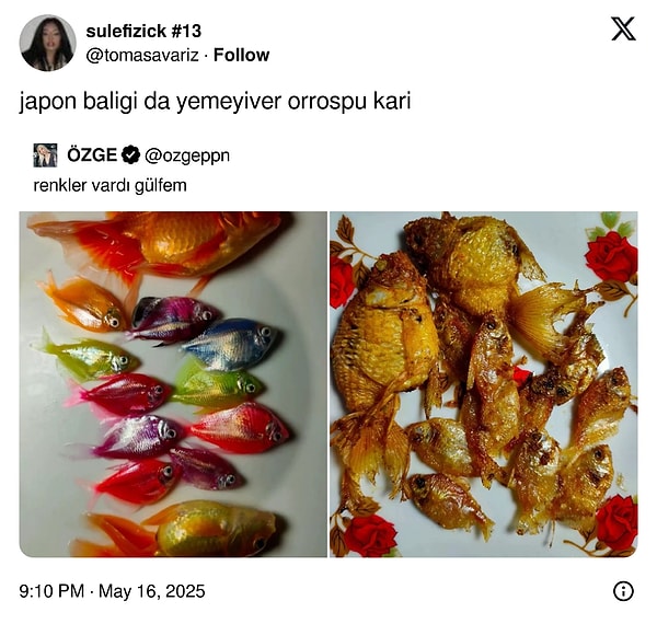 Yarın görüşmek üzere ✌️