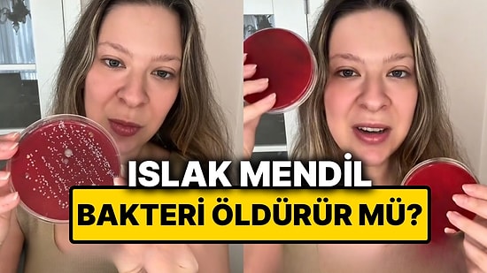 Genetik Mühendisi Test Etti: Tuvaletler Islak Mendille Silindiğinde Bakteriler Ölüyor mu?