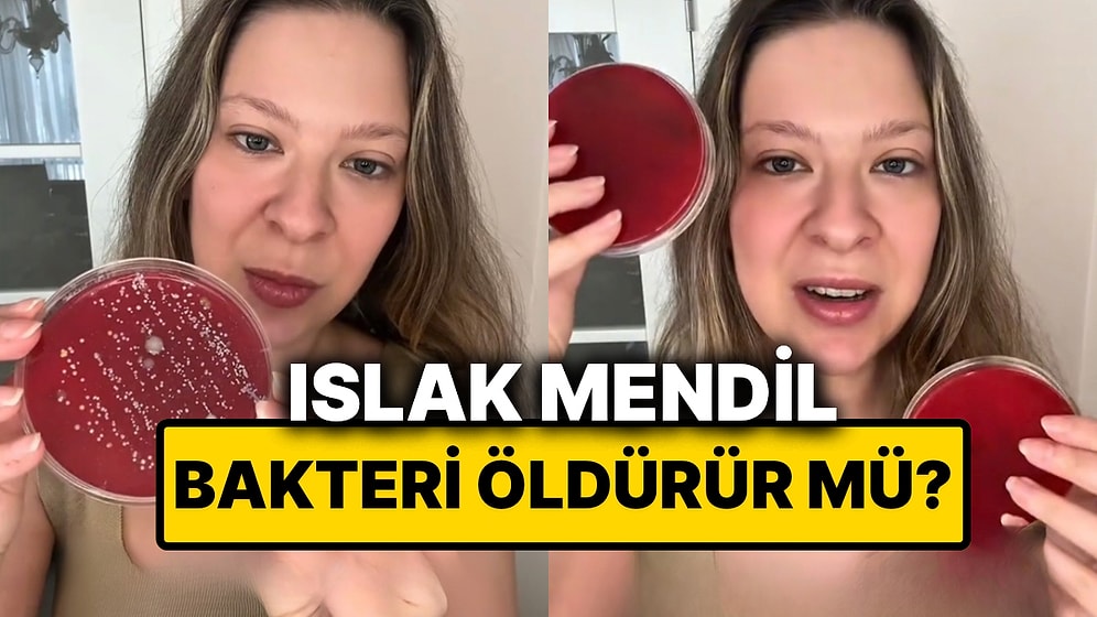 Genetik Mühendisi Test Etti: Tuvaletler Islak Mendille Silindiğinde Bakteriler Ölüyor mu?