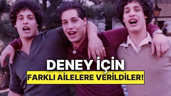 Bir Deney Uğruna Farklı Ailelere Verilen Üçüzlerin Şoke Eden Hikayesi