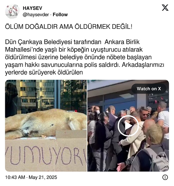 👇
