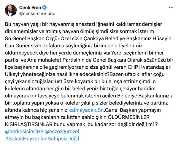"Öldürmesinler Kısırlaştırsınlar" diyenler arasında ünlü sanatçı Cenk Eren de vardı. 👇