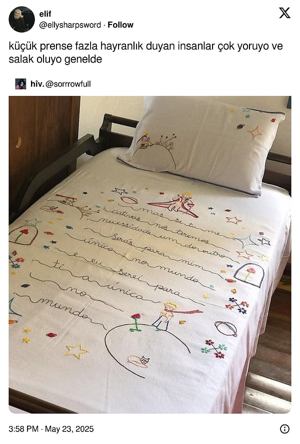 Ayrıca kimsenin çocukken en sevdiği kitap Küçük Prens değildi.