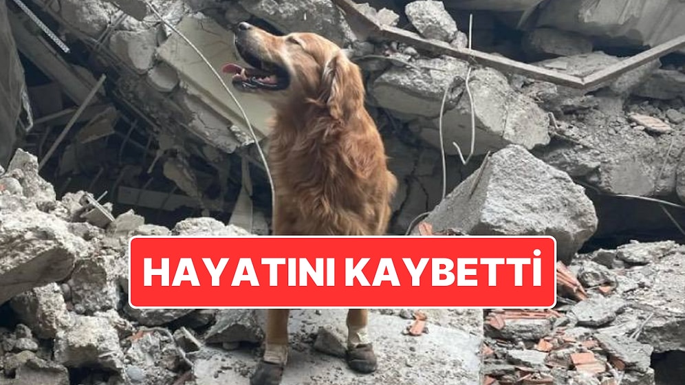 Kahramanmaraş Depreminde 18 Kişiyi Hayatta Tutmuştu: Killian Hayatını Kaybetti