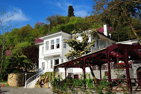 1. Fethi Pasha Grove / Üsküdar