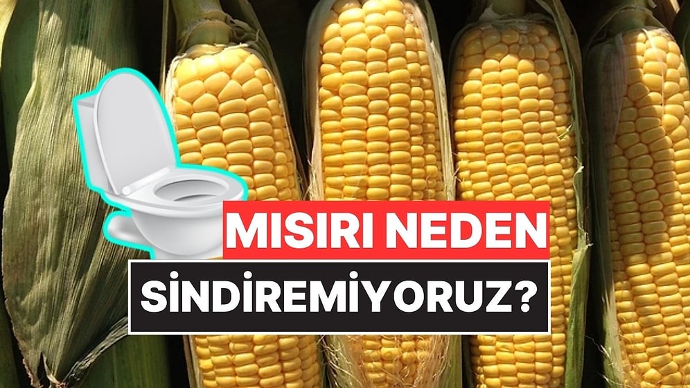 Tatlı Tatlı Yiyoruz Ama Mısırı Neden Sindiremiyoruz?