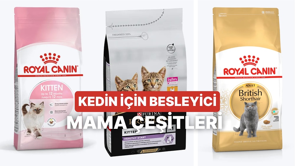 Doğru Kedi Maması Nasıl Seçilir? Bu İçerikte Anlatıyoruz!