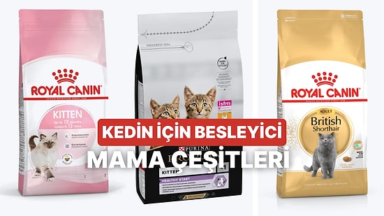 Doğru Kedi Maması Nasıl Seçilir? Bu İçerikte Anlatıyoruz!