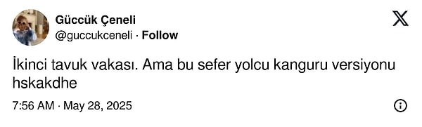 👇🏻