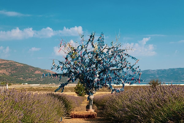 6. Salda Lake - Yesilova, Burdur