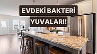 Evde En Çok Bakteri Barındıran 12 Yüzey