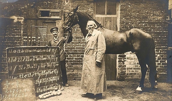 20. yüzyılın başlarında Almanya’da sahneye çıkan "Hans" isimli at, adeta halkın sevgilisi olmuştu.